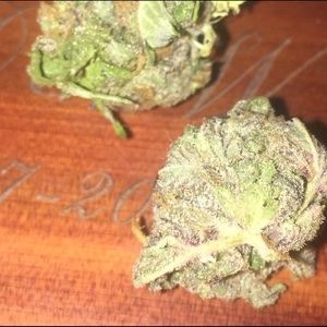 Meet your Posher, Adeline