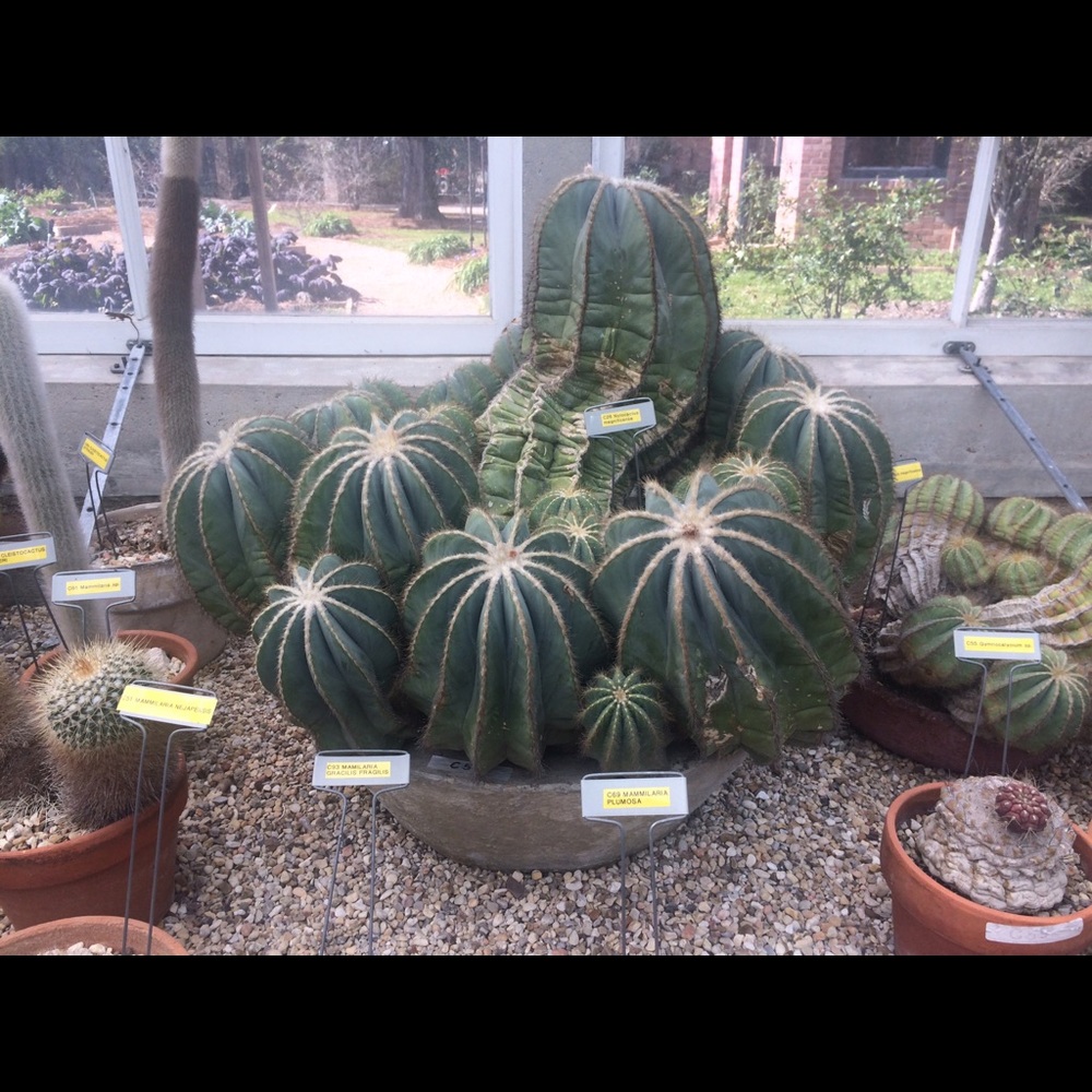 Meet your Posher, Salina