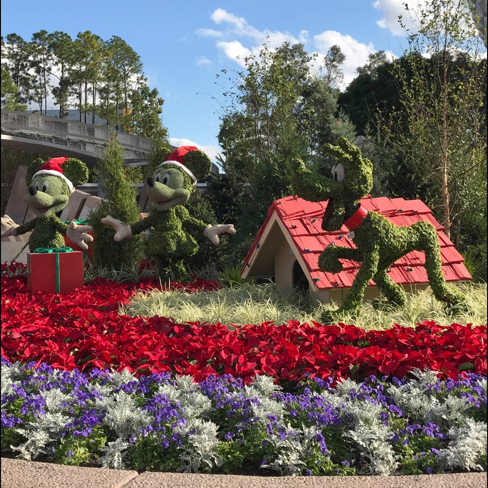 Meet your Posher, Candace