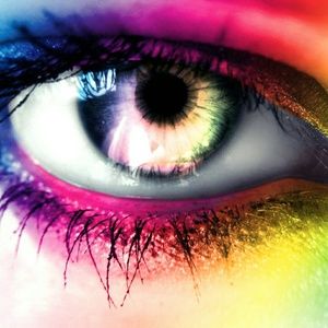 Meet your Posher, Brandi