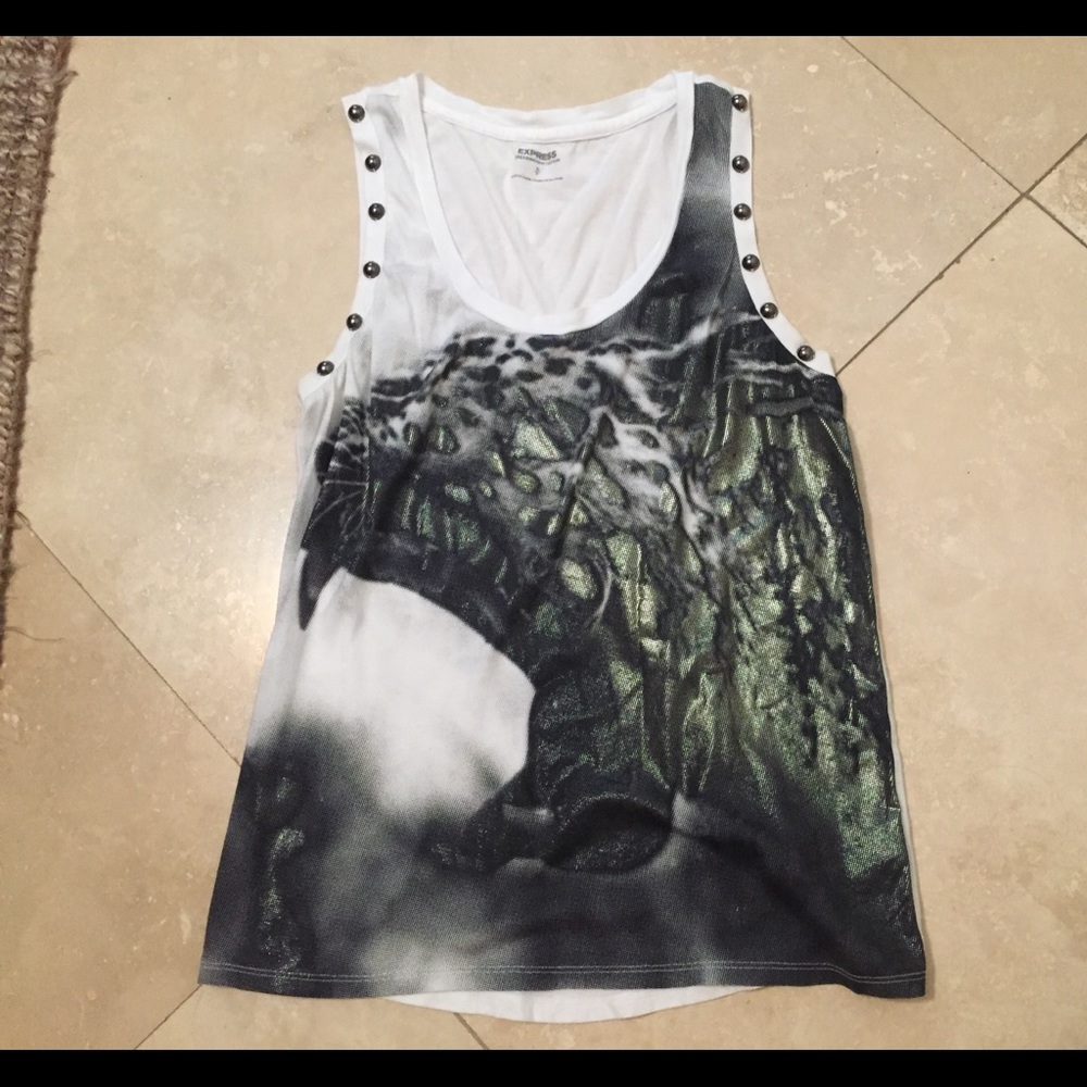 Express Metallic Tiger Tank