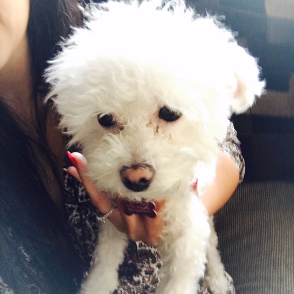 Meet your Posher, Wendy