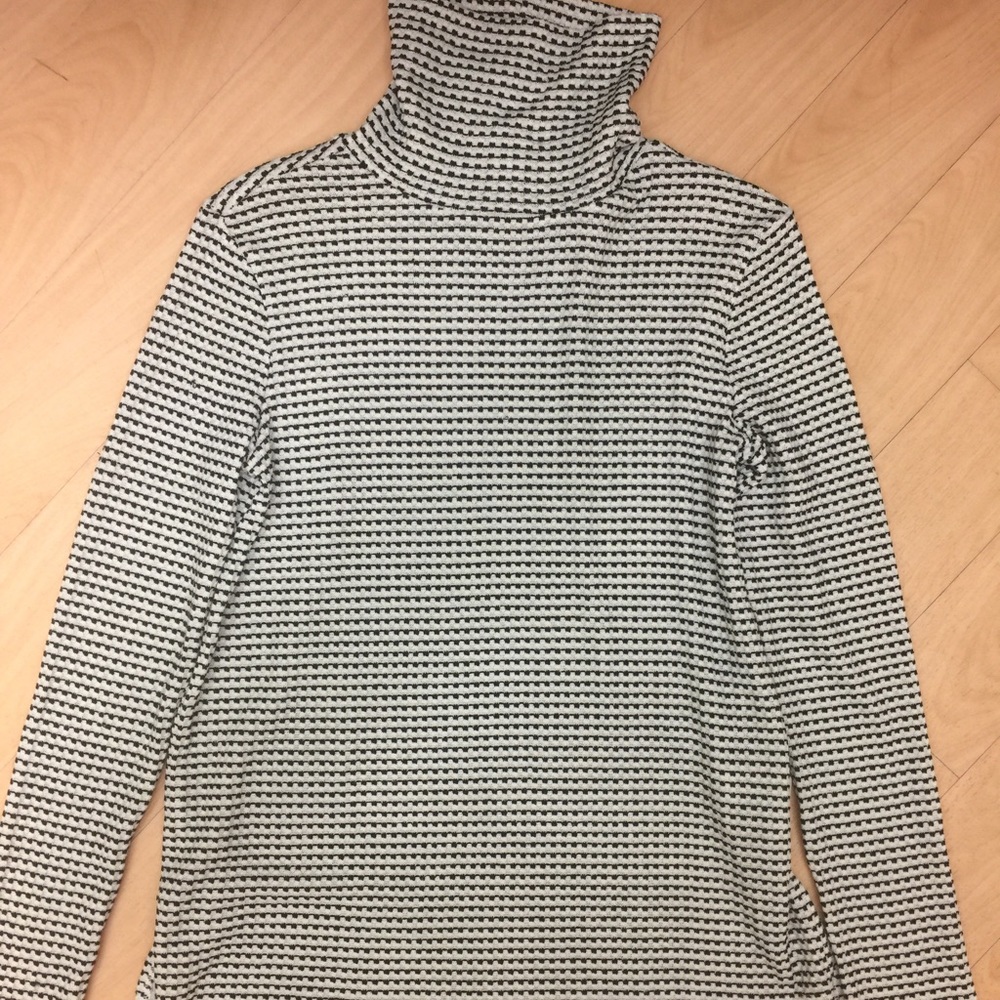 Light Weight Turtleneck Sweater