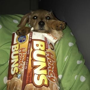 Meet your Posher, Khally