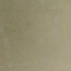 Meet your Posher, Marcela