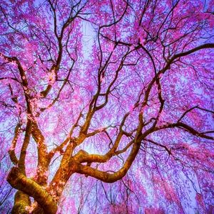 Meet your Posher, Colleen