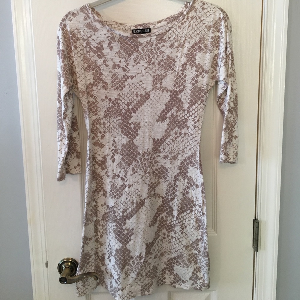 Express scale design dress