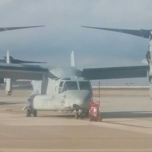 Meet your Posher, Frank