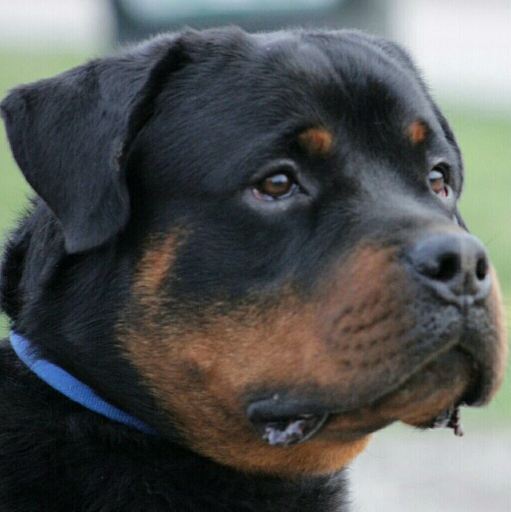 Meet your Posher, Wendy