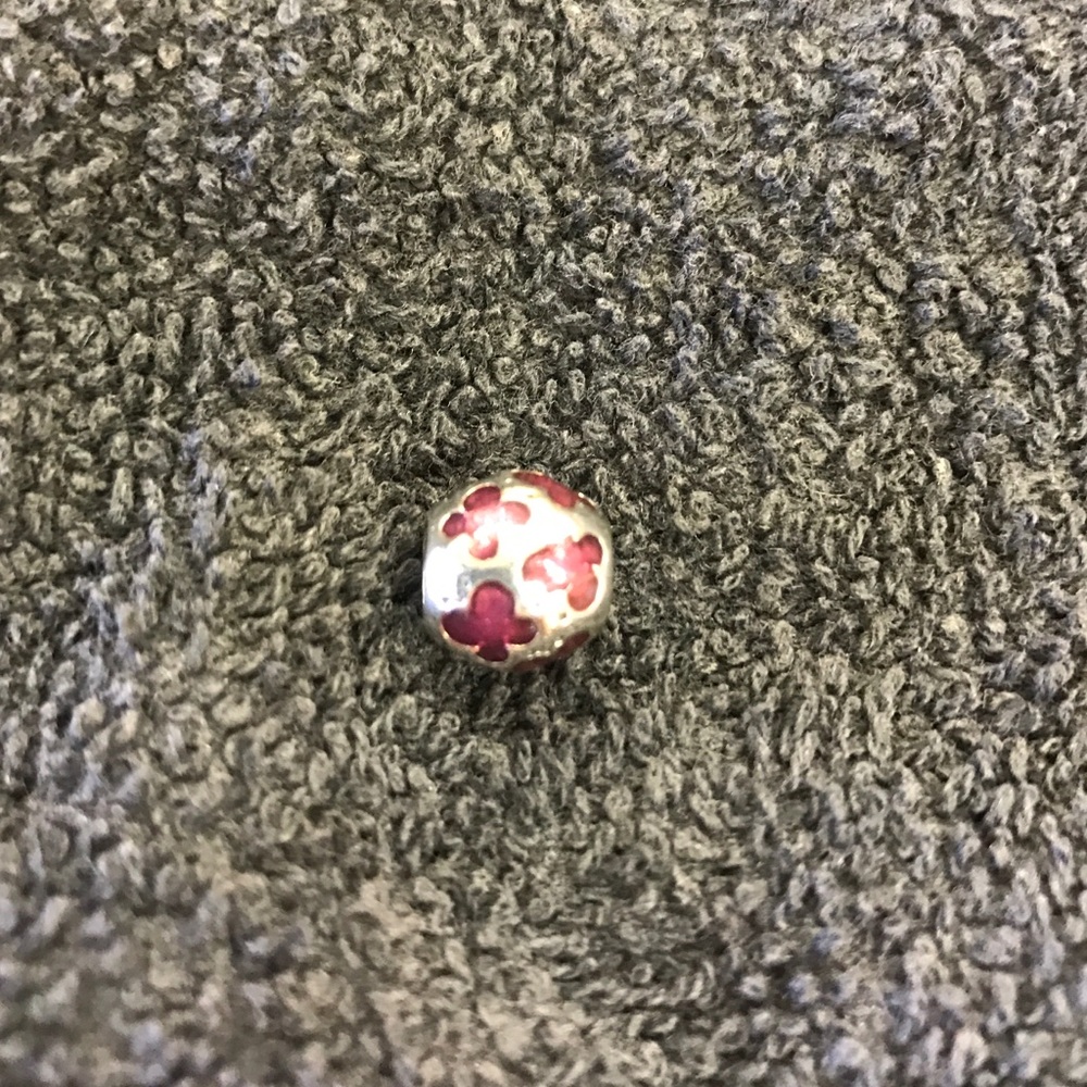 Enamel mother of pearl charm