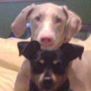 Meet your Posher, Vanessia