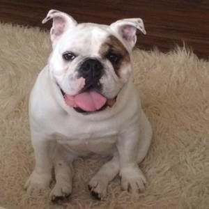 Meet your Posher, Jodi