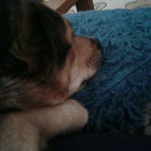 Meet your Posher, Ruby