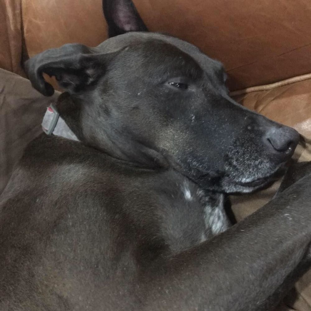 Meet your Posher, Rachel