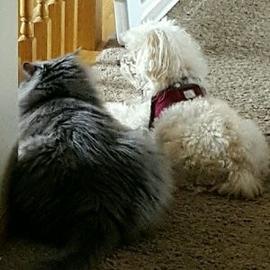 Meet your Posher, Paula