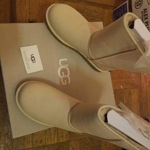 Cashmere Uggs boots