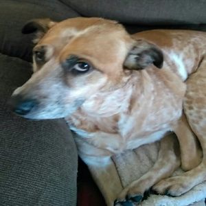 Meet your Posher, Debra