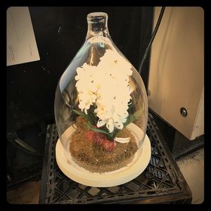 Is like a center piece for a table