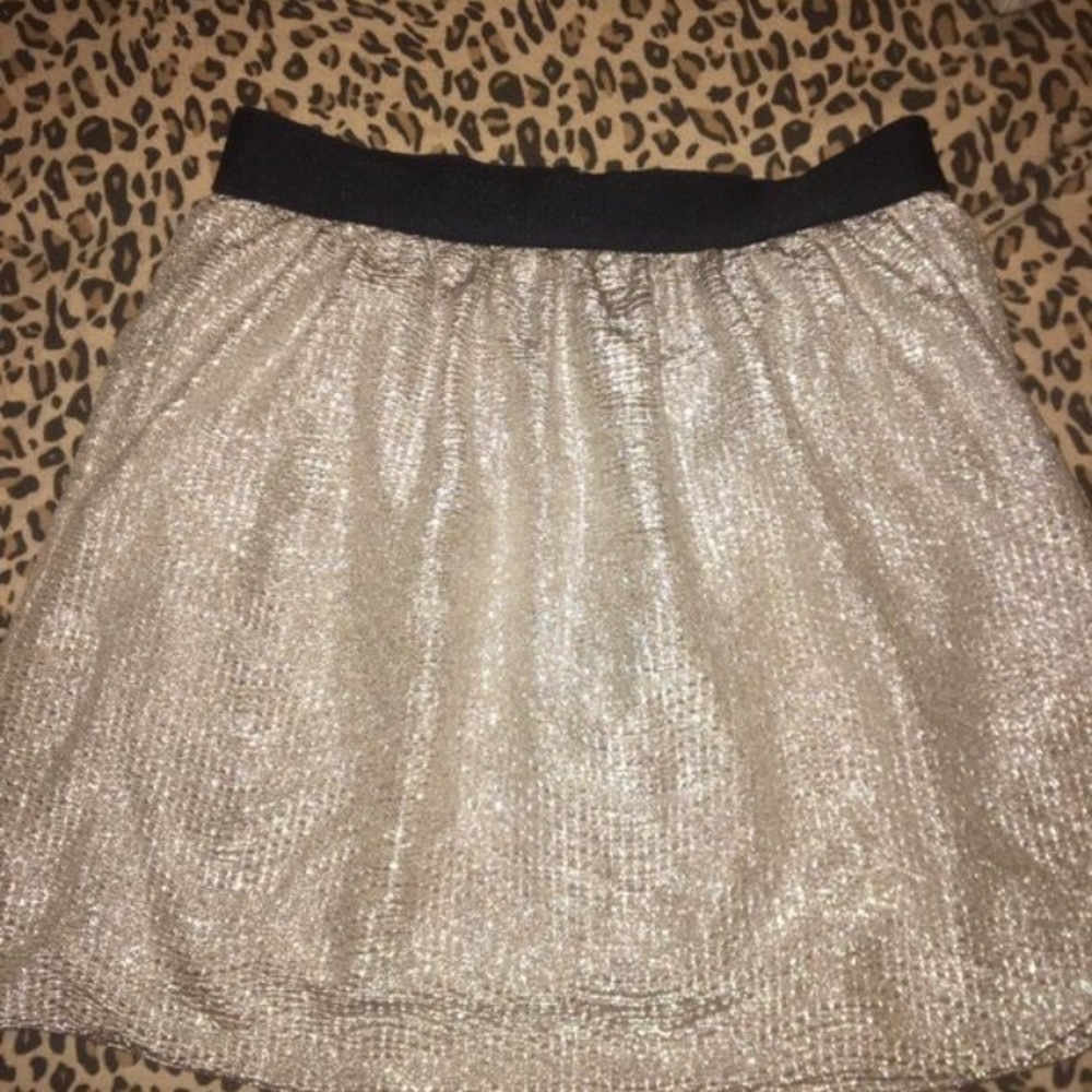 silver skirt