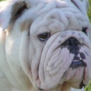 Meet your Posher, Duy