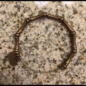 Alex & Ani bangle