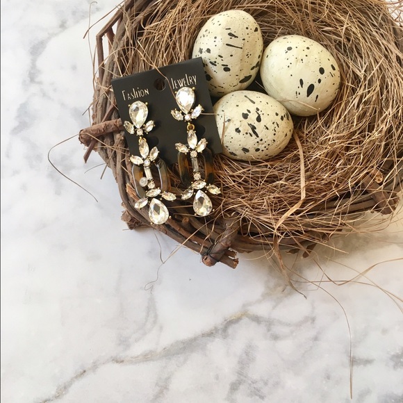 Fashion Jewelry Jewelry - Tortoise Drop Earrings