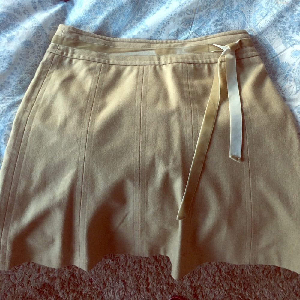 Ann Taylor Skirt