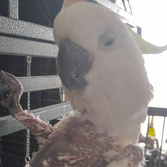 Meet your Posher, Ruth - Picture 1 of 1