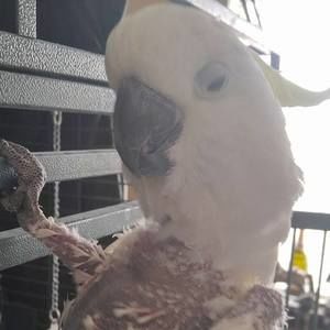 Meet your Posher, Ruth