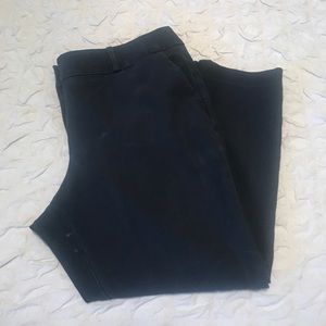 Loft Navy Pants