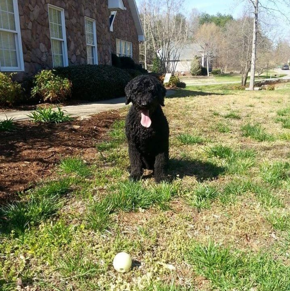 Meet your Posher, Angela