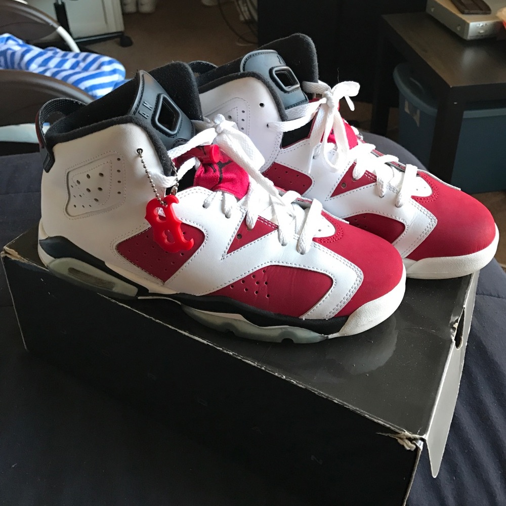 Retro Jordan Carmine 6s