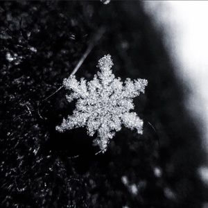 Meet your Posher, Connie