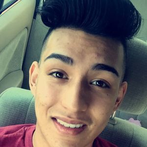 Meet your Posher, Noè