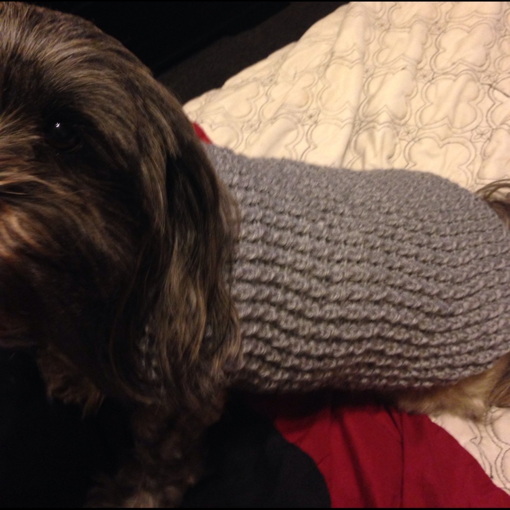 Doggy sweater