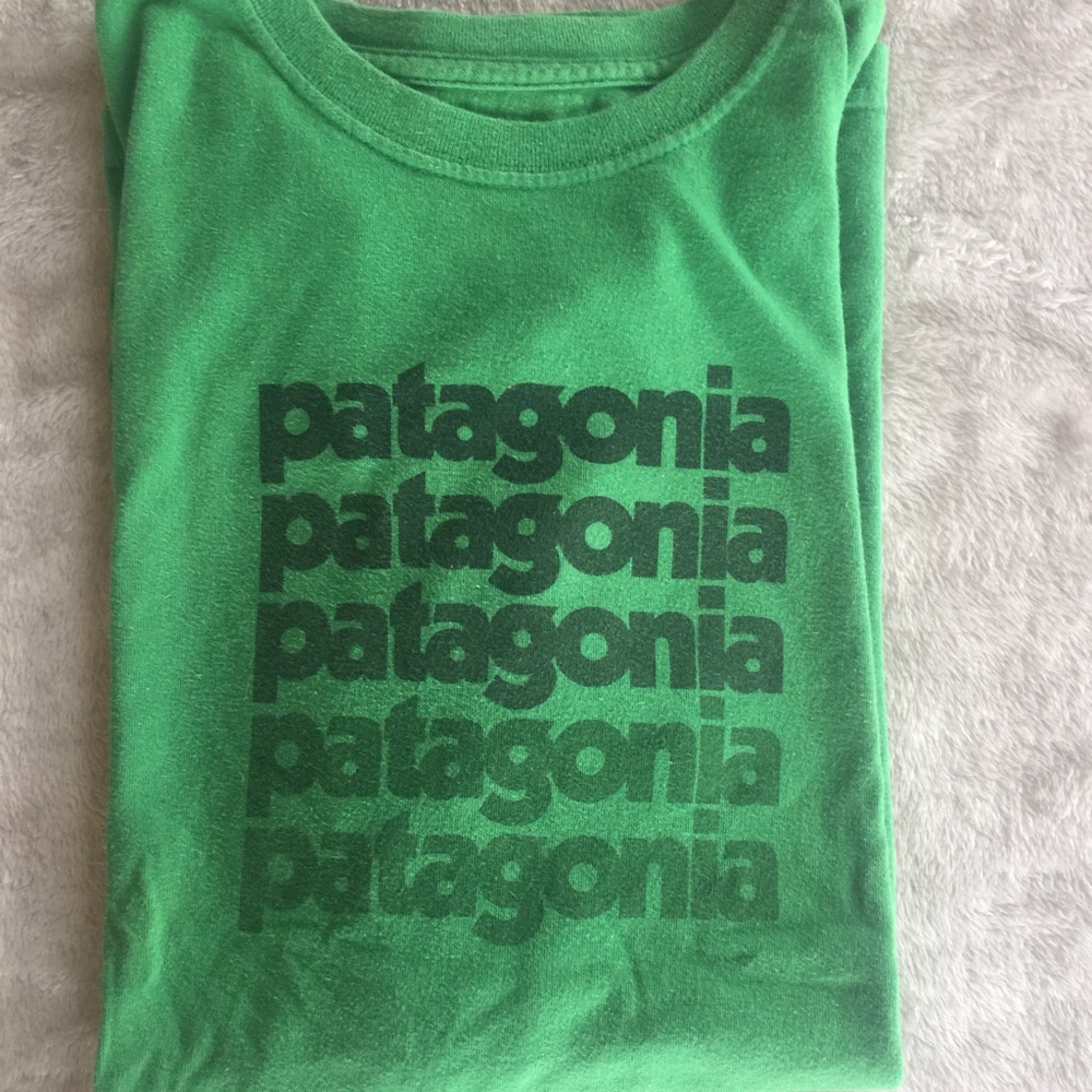 Men's Patagonia Tshirt