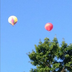 Meet your Posher, Cathy