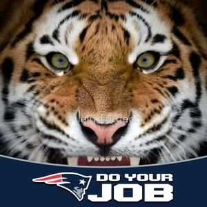 Meet your Posher, Phong