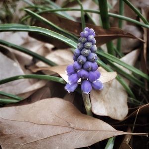 Meet your Posher, Betsy