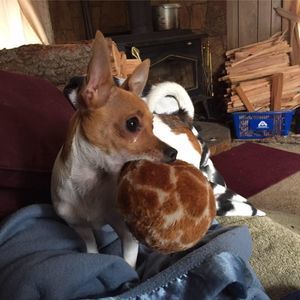 Meet your Posher, Debbie