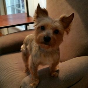 Meet your Posher, Janice