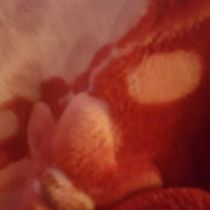 Meet your Posher, Micheal