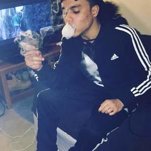 Meet your Posher, Freddo