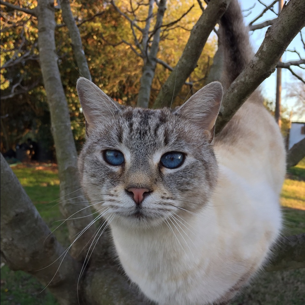 Meet your Posher, Pat