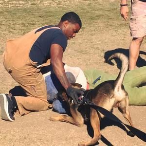 Meet your Posher, Vince