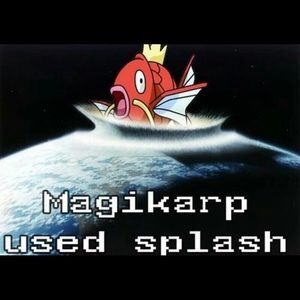 Meet your Posher, Sam