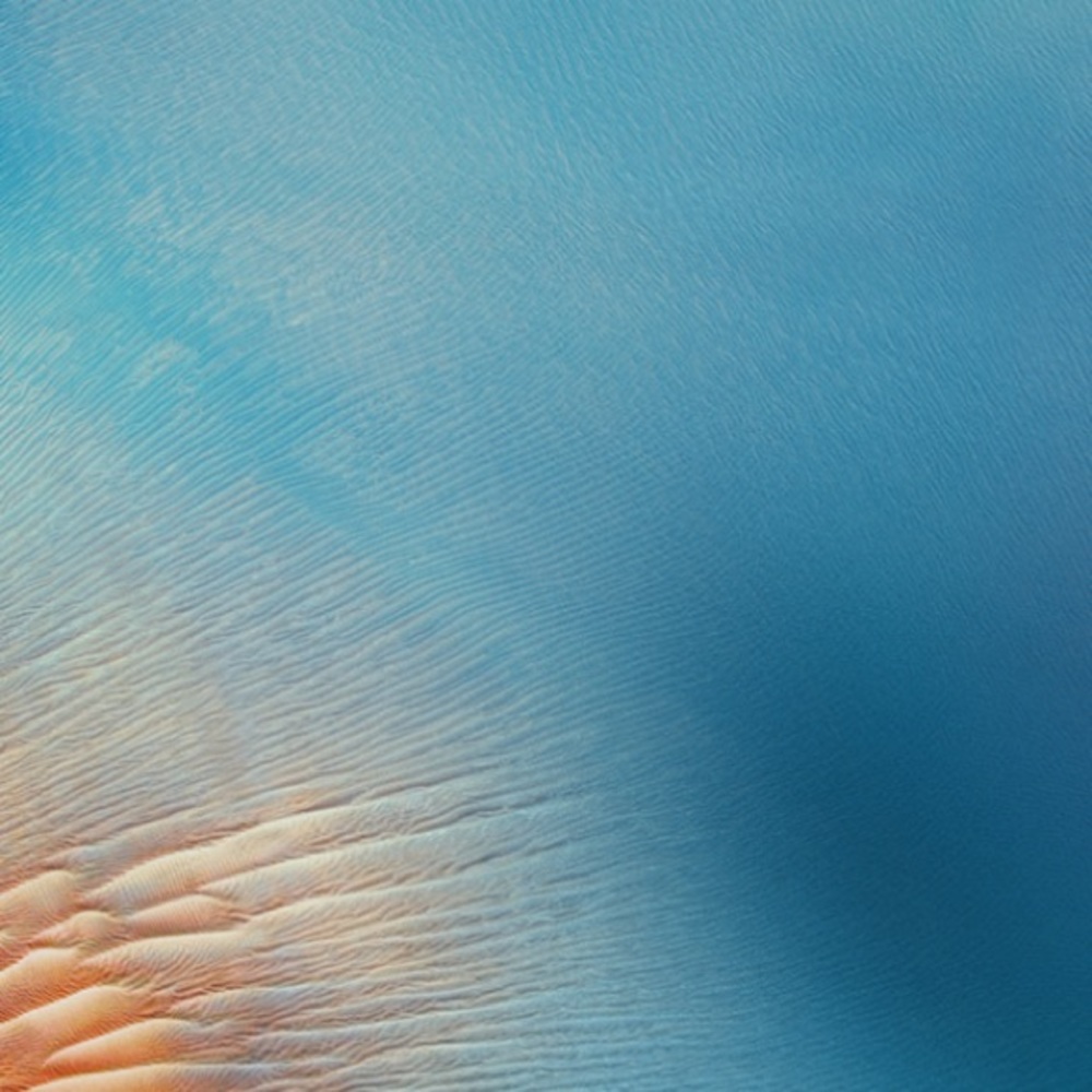 Meet your Posher, Carolyn