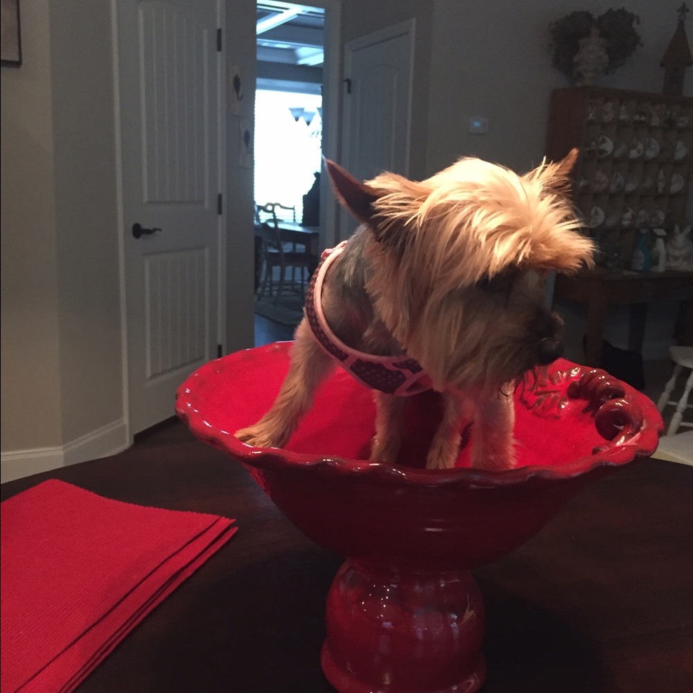 Meet your Posher, Heather