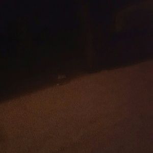 Meet your Posher, Don