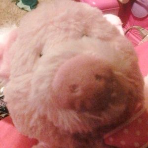 Meet your Posher, Brandy